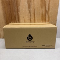 アムウェイ BathSpring バスルーム浄水器